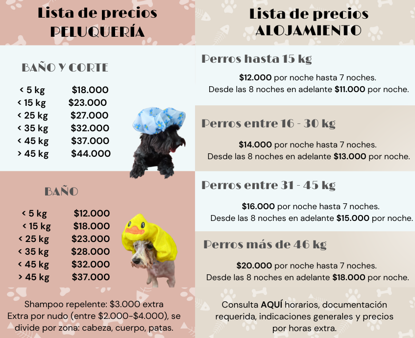 Def.Precios nueva web Bark